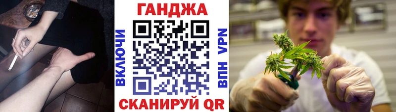 Бошки марихуана план  Гдов 